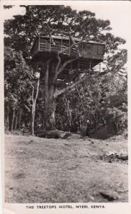 Early Treehouse