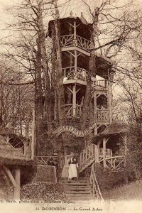 Progressive Treehouse